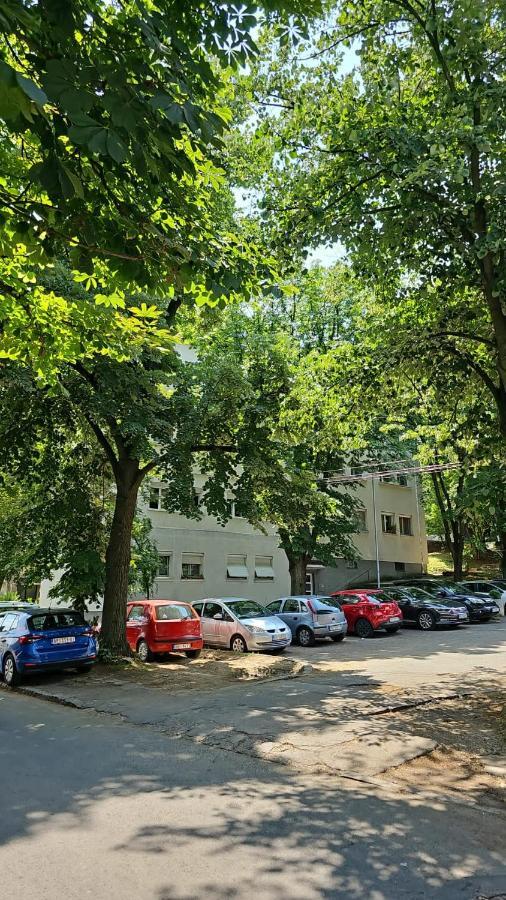 Apartman Maja Daire Belgrad Dış mekan fotoğraf