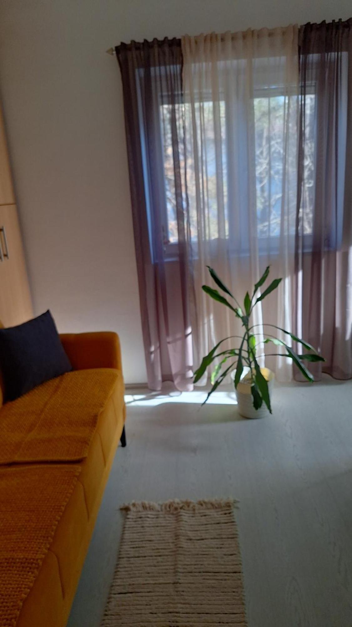 Apartman Maja Daire Belgrad Dış mekan fotoğraf