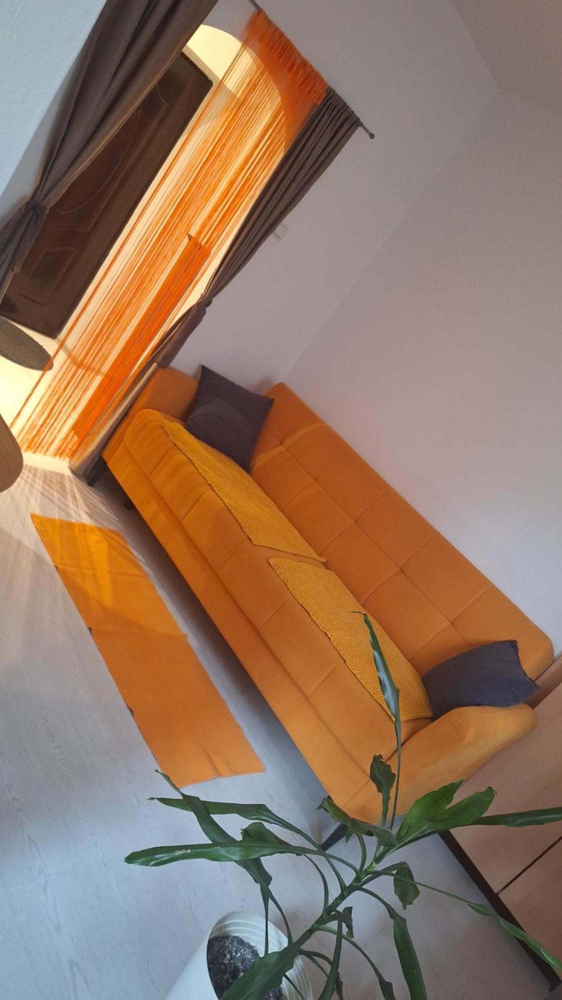Apartman Maja Daire Belgrad Dış mekan fotoğraf
