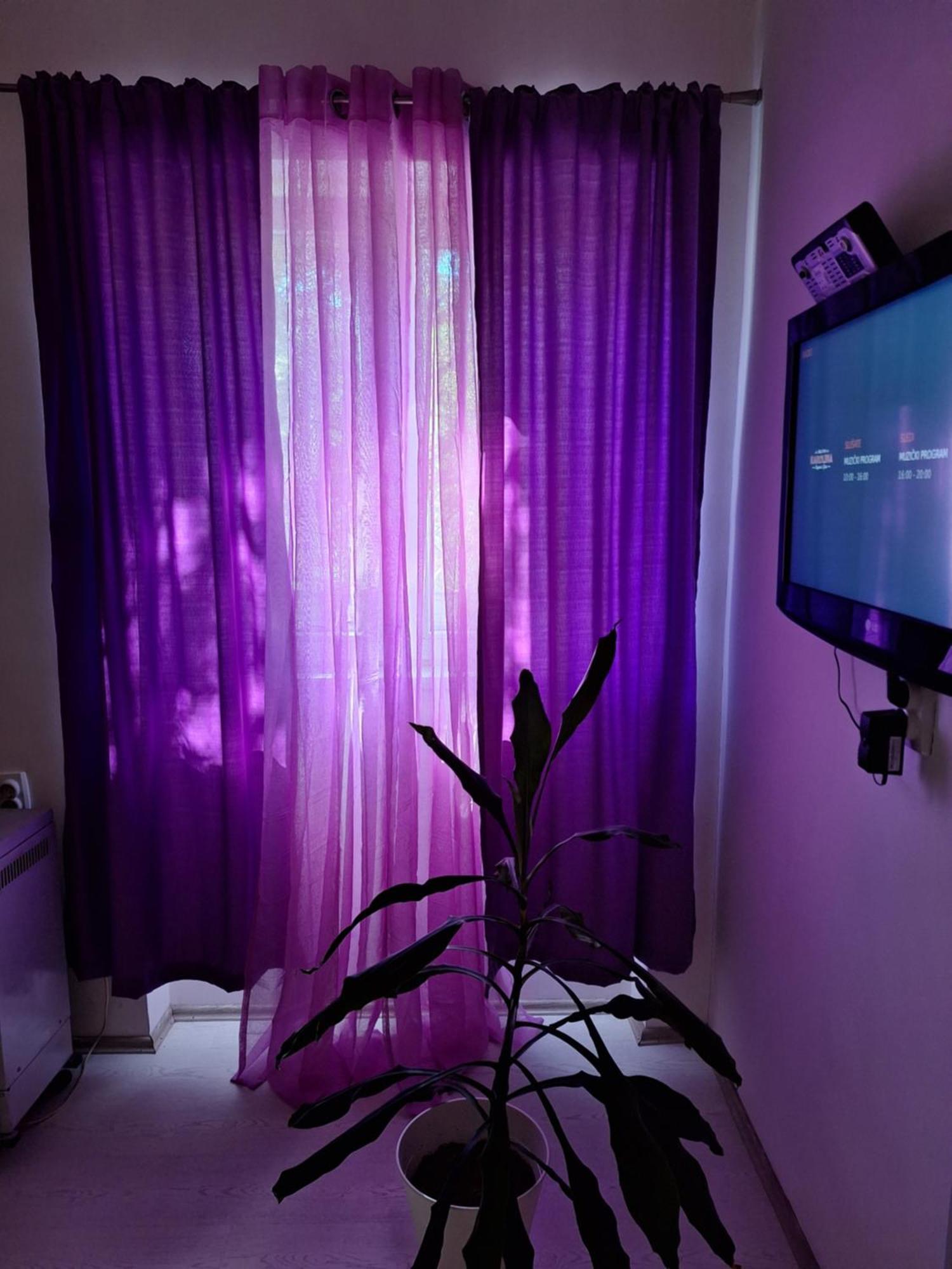 Apartman Maja Daire Belgrad Dış mekan fotoğraf