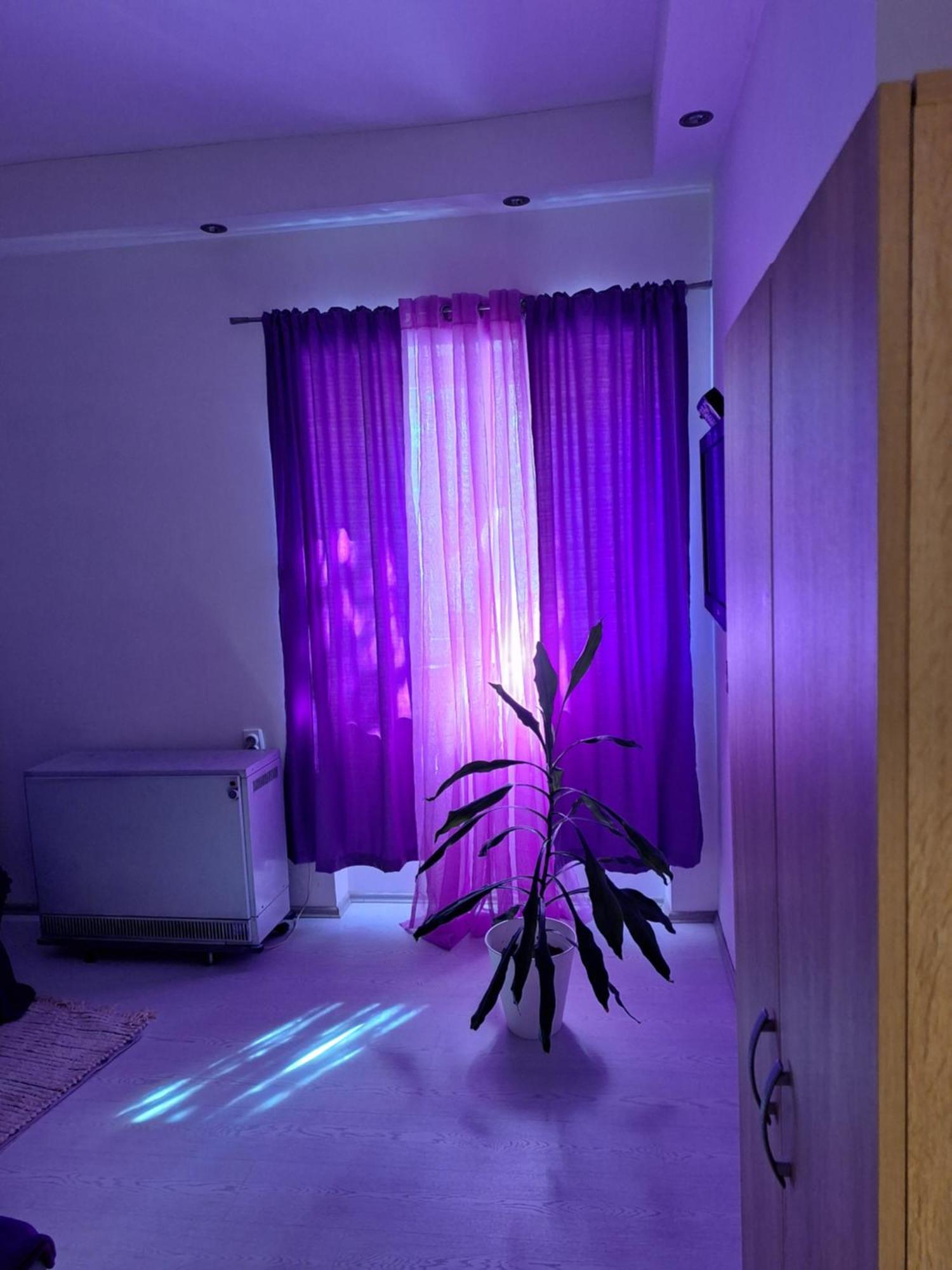 Apartman Maja Daire Belgrad Dış mekan fotoğraf
